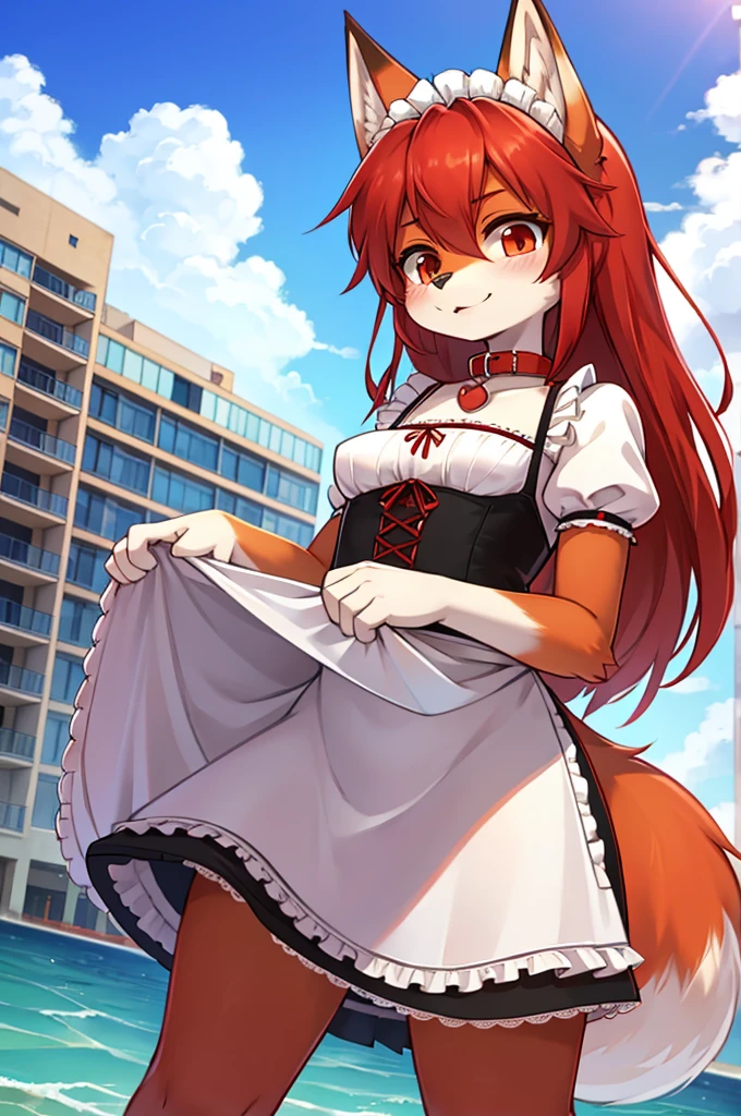 fox boy,Ocean,Red collar,Large high rise apartment building,  Maid clothes,Red hair characteristics