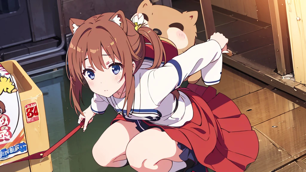 Girl with short dress and long stockings on Akihabara street. Tanuki blushes on her cheeks.