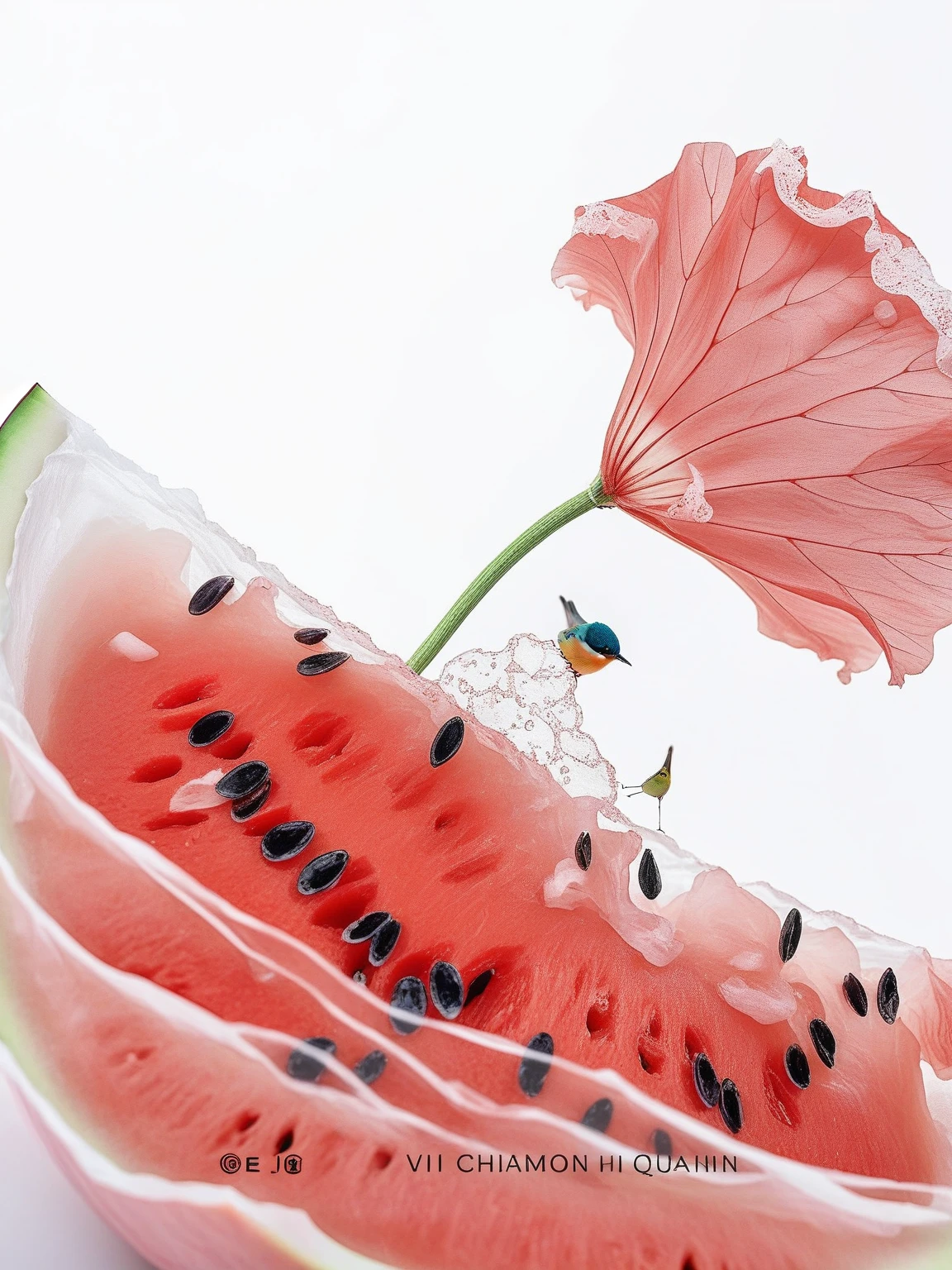 There was a watermelon，There is a bird and a flower on it, Yu Zhiding, Amazing food illustrations, Wuzhen, author：Wu Li, by Cheng Jiasui, author Kim Hwan-gi, by Yi Yuanji, Shin Jin Hye Art, by Wen Zhenheng, Mei Qing, Surreal illustration, by Eizan This is a gift