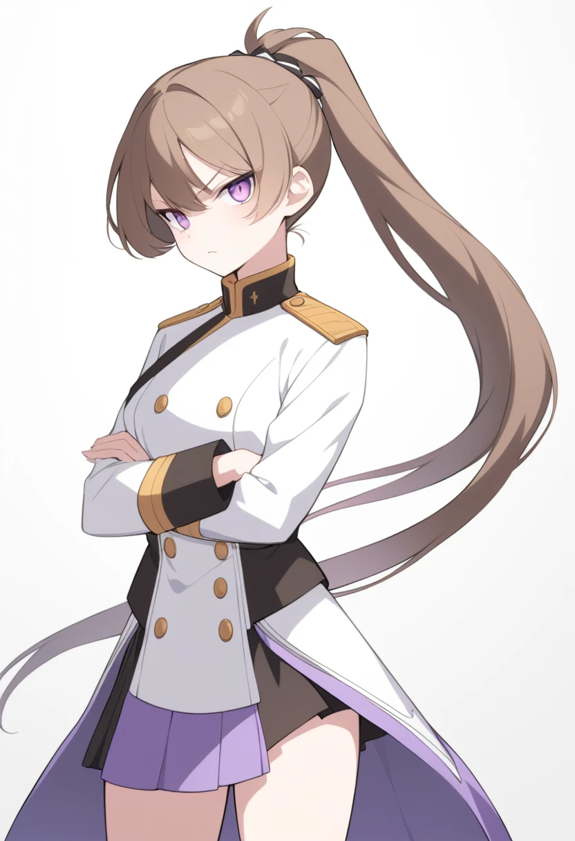 Illustrate a full-body anime girl with long, flowing brown in a ponytail hair, standing off to the side with her arm crossed, looking at the viewer wearing a military uniform with fold buttons and a combat skirt, styled in a way that accentuates her strength and commanding presence. The character should have sharp, violet determined eyes and a serious expression.
