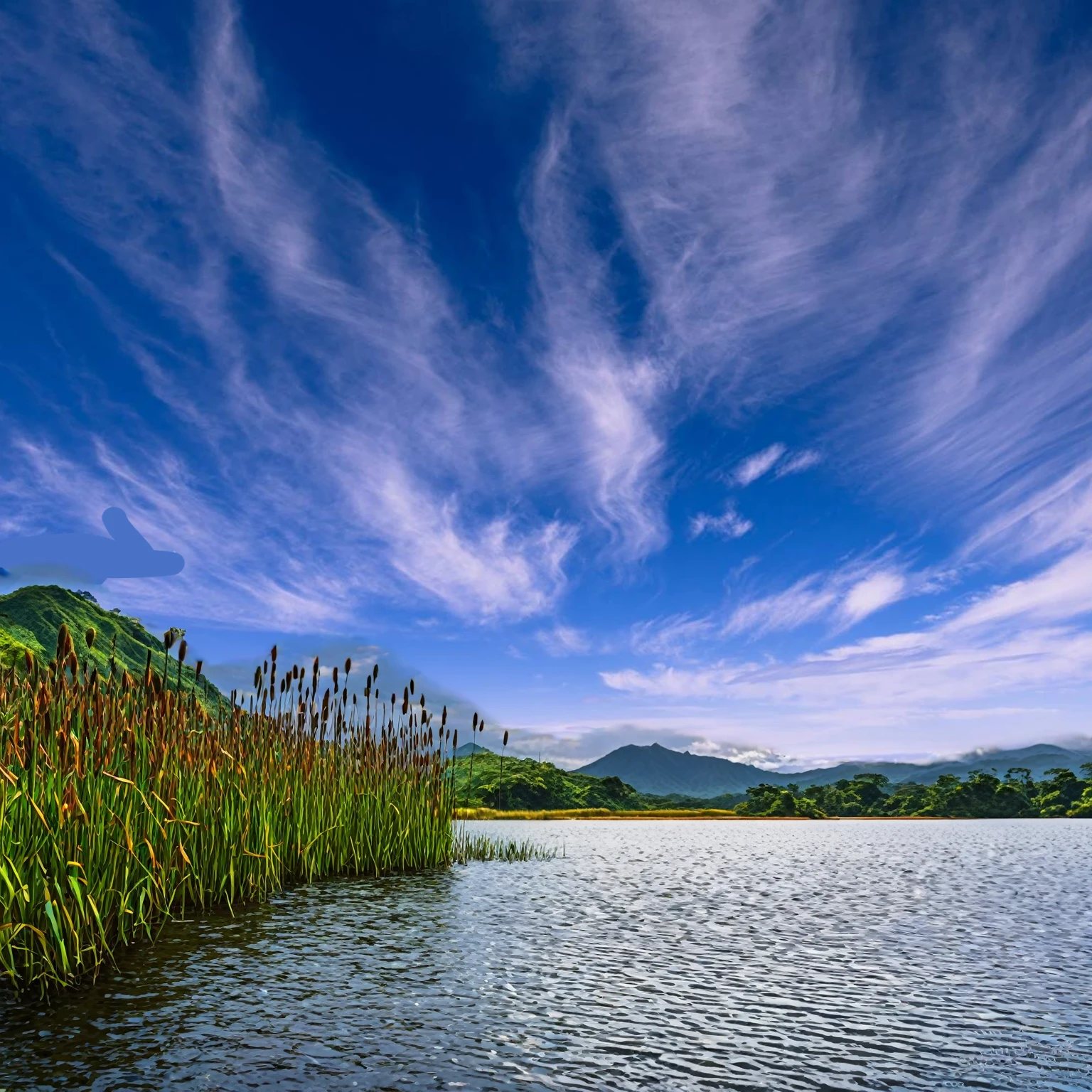 Summer sky,((Painterly style), Realistic, highly Realistic, Attention to detail, breathtakingly Realistic, High contrast realism, High Saturation Realism, Vibrant colors), (Lake in Costa Rica,Typha grows near water., Mountains visible in the distance々:1.3),(cloud:-1),Dramatic lighting, Fascinating landscape, Persuasive storytelling, Atmospheric scene, Captivating visuals, Intricate details, Strong emotions, Heavenly Beauty, A dreamlike world