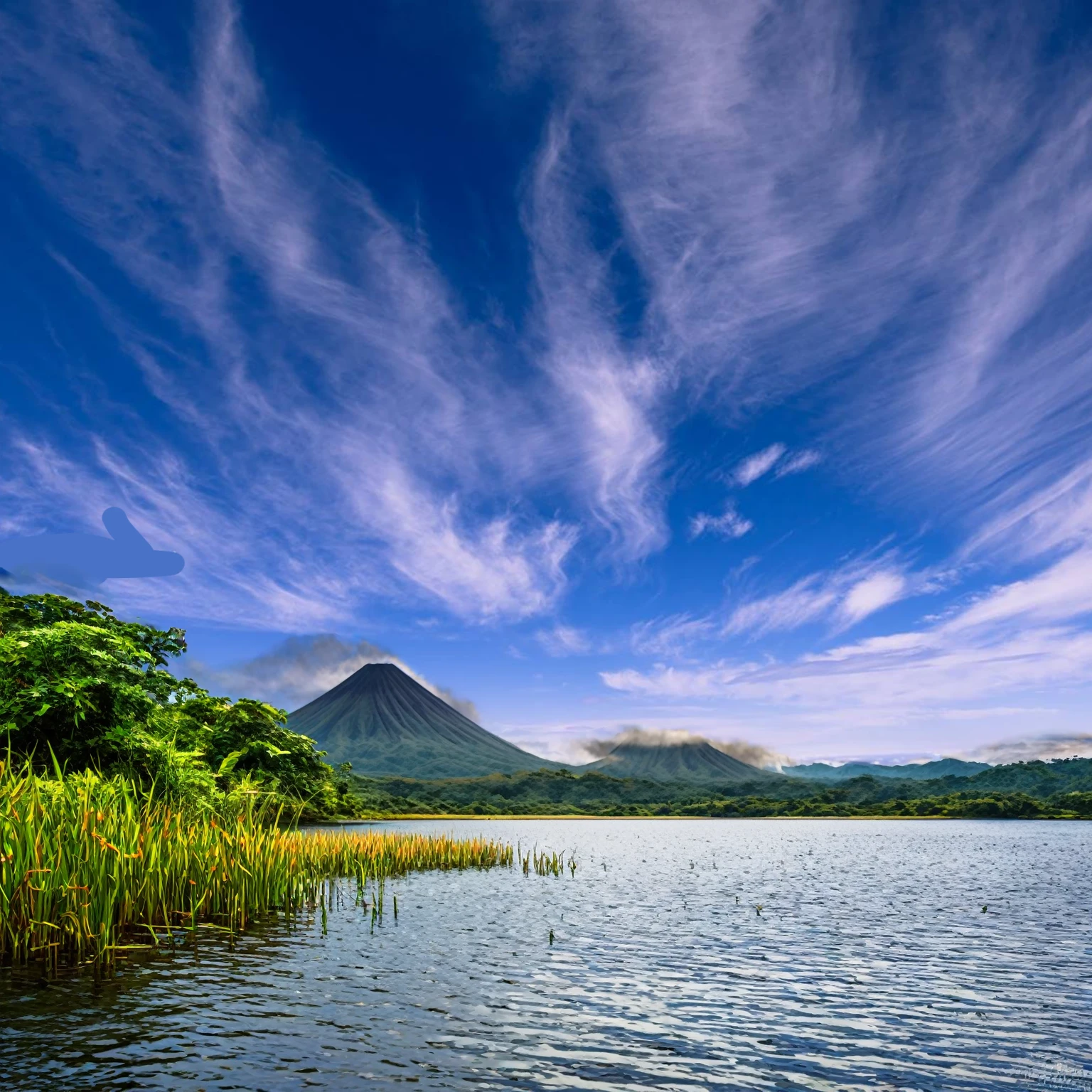 Summer sky,((Painterly style), Realistic, highly Realistic, Attention to detail, breathtakingly Realistic, High contrast realism, High Saturation Realism, Vibrant colors), (Lake in Costa Rica, Mountains visible in the distance々:1.3),(cloud:-1),Typha grows near water.,Dramatic lighting, Fascinating landscape, Persuasive storytelling, Atmospheric scene, Captivating visuals, Intricate details, Strong emotions, Heavenly Beauty, A dreamlike world