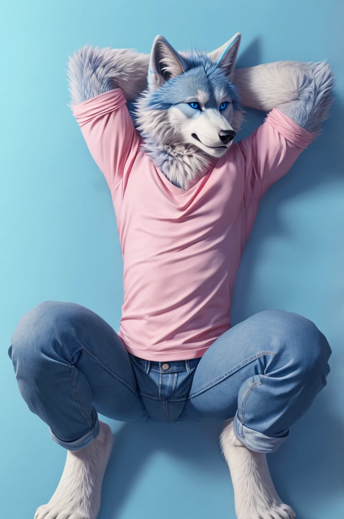 full body Male blue wolf furry blue eyes blue background fluffy tail lying down on the floor with squat legs open skinny light pink color jeans and pink shirts