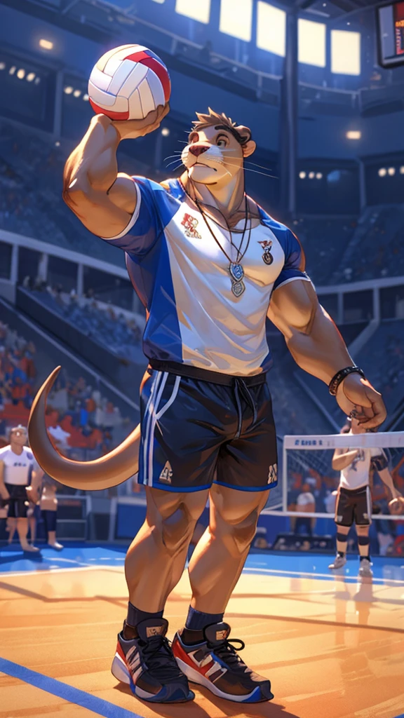 a male furry sea lion who is only wearing short shorts, has his body uncovered and is in a volleyball stadium as he is playing. He wears a necklace with a K pendant