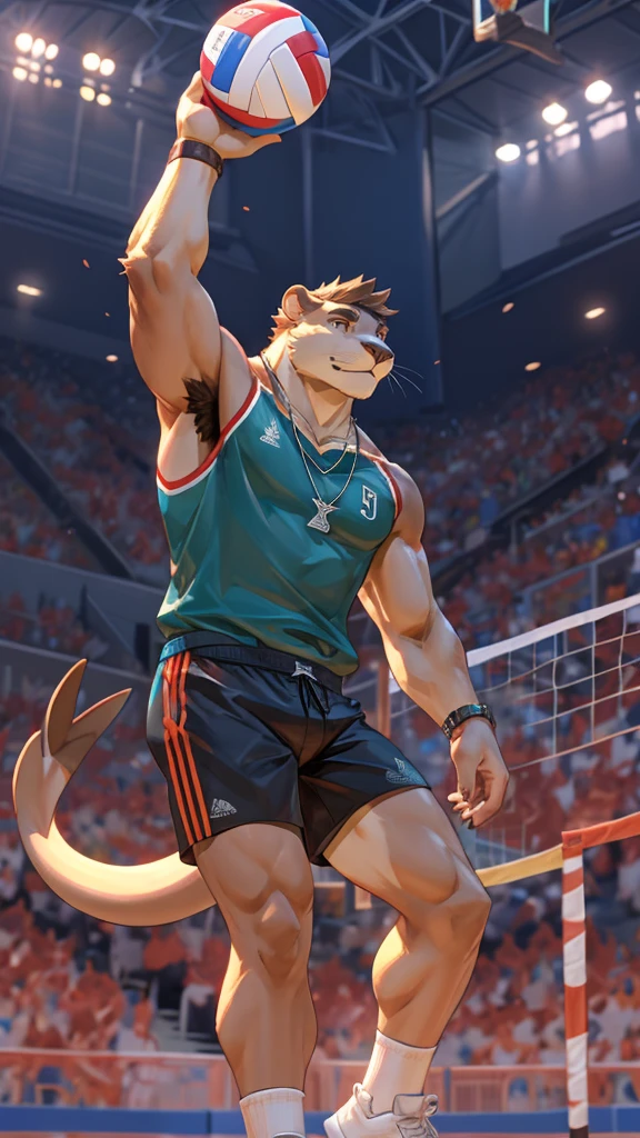 a male furry sea lion who is only wearing short shorts, has his body uncovered and is in a volleyball stadium as he is playing.  He wears a necklace with a K pendant