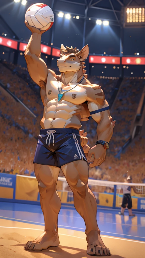 a male furry armadillo who is only wearing short shorts, has his body uncovered and is in a volleyball stadium as he is playing. He wears a necklace with a K pendant