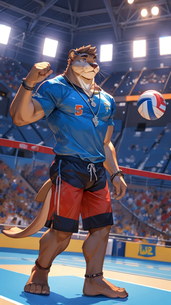 a male furry sea lion who is only wearing short shorts, has his body uncovered and is in a volleyball stadium as he is playing. He wears a necklace with a K pendant