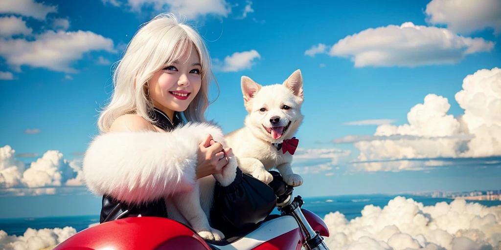 Riding on the clouds puppy cute White hair smile
