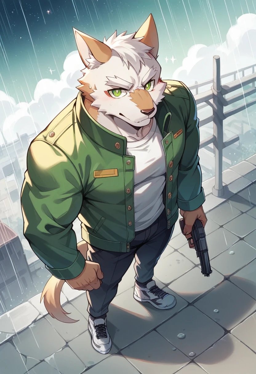 Masterpiece, Best Quality, absurd resolution, ultra detailed, perfect anatomy,
monomasa, 
por canandne khai, for you.and.stars, (by DRKS:0.28), (by Pino Daeni:0.8),
furry, muscular male, lobo, well-built, Alone, green pupils, sneakers, 
Jacket, dress, dynamic angle, high angle view, Blade, holding gun, 
rain, cloudy, urban landscape, 