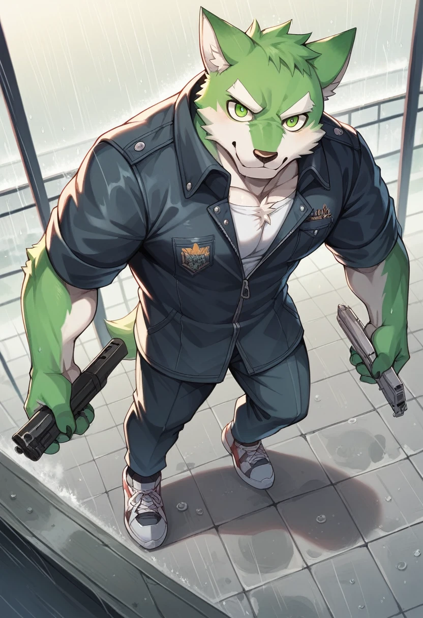 Masterpiece, Best Quality, absurd resolution, ultra detailed, perfect anatomy,
monomasa,
por canandne khai, for you.and.stars, (by DRKS:0.28), (by Pino Daeni:0.8),
furry, muscular male, lobo, well-built, Alone, green pupils, sneakers,
Jacket, dress, dynamic angle, high angle view, Blade, holding gun,
rain, cloudy, urban landscape,