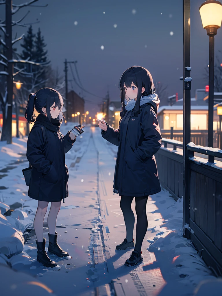 white, snow, Background blur, 2girls, 白いコート,