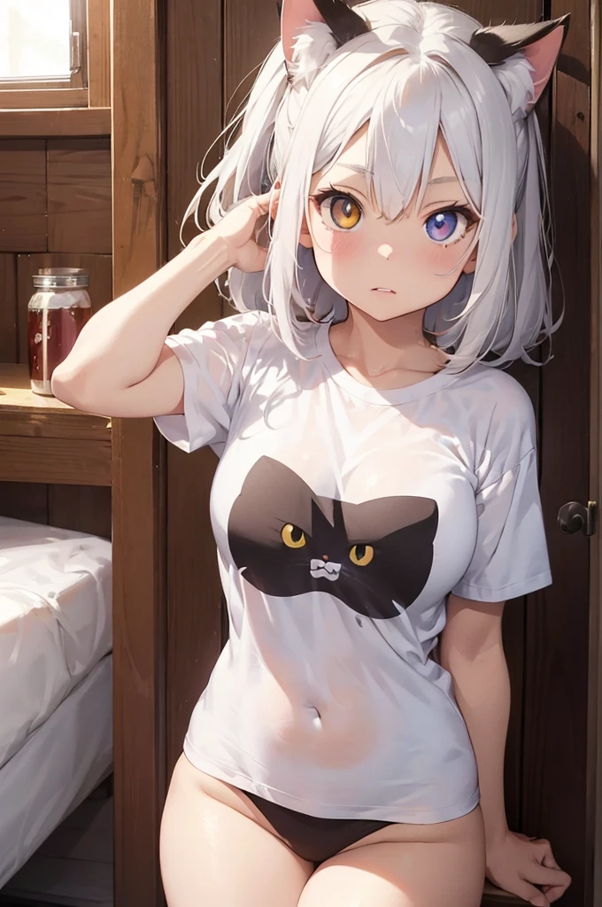 1 female, small teen cat girl, puffy cheeks, realistic lips oversized white t-shirt going all the way to the thighs, arms crossed propping up breast, hourglass figure, heterochromia eyes, cat pupils, flowy hair, white hair, annoyed, cat ears, in a cabin, best quality
