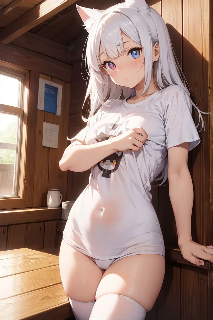 1 female, small teen cat girl, puffy cheeks, realistic lips oversized white t-shirt going all the way to the thighs, arms crossed propping up breast, hourglass figure, heterochromia eyes, cat pupils, flowy hair, white hair, annoyed, cat ears, in a cabin, best quality
