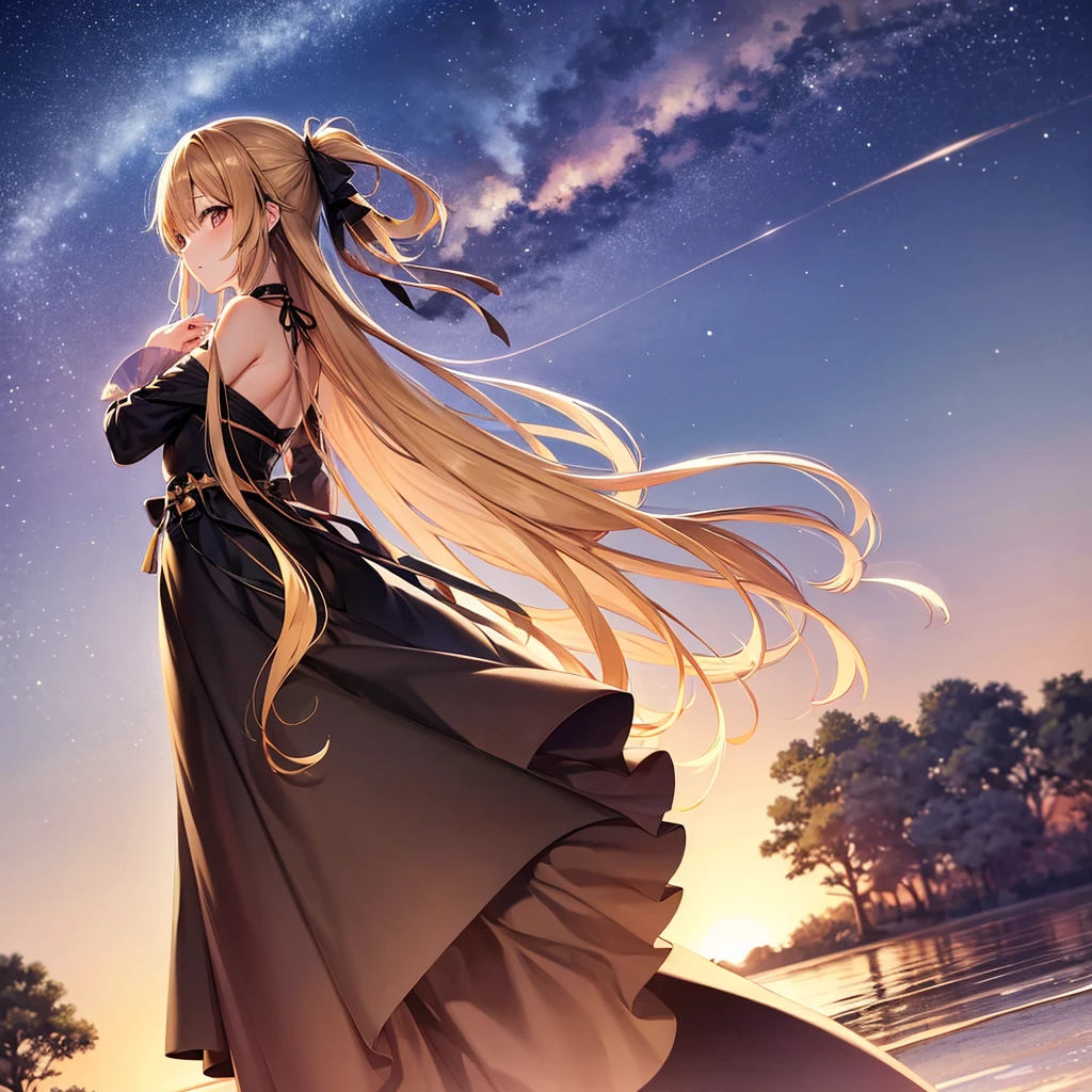asuna,STAR, crown half up hairstyle,, mature female, dusk, dusk sky, sunset,Free Pose。Low - Angle、A long, thin dress with black accents。Not wearing
