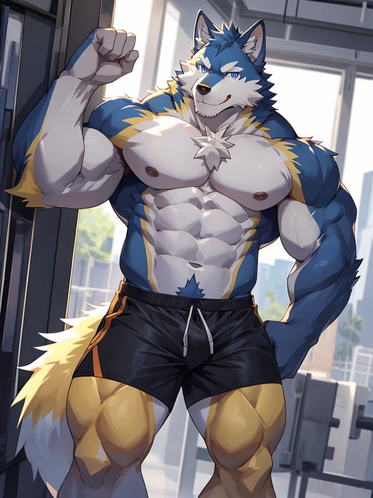 Kemono Wolf, yellow fur, blue eyes, handsome, smile muscle, cool, Black sports shorts,Not wearing a shirt, full body image