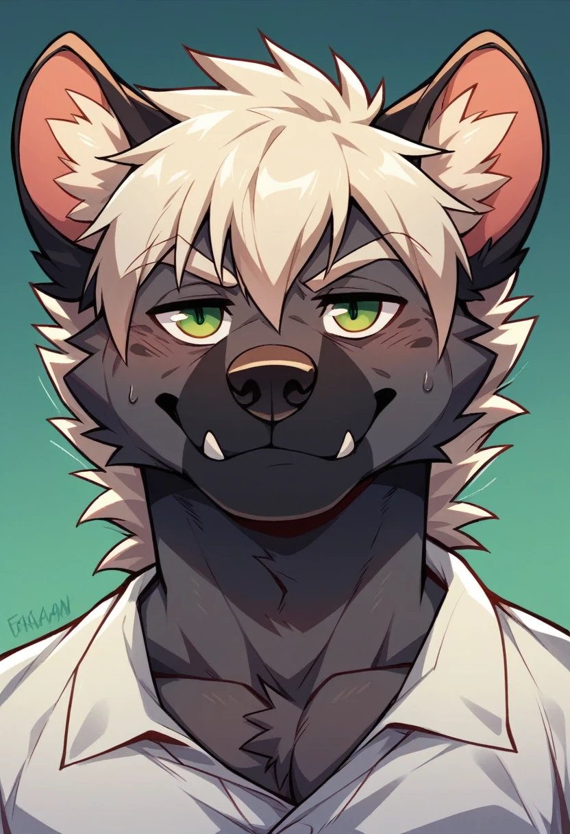Anthropomorphic Blafk hyrax, masculine, male, casual clothing, humanoid anthro household hyrax, {{char}} has black fur, green eyes. {{char}}'s body is a athletic build. {{char}} has a fluffy mullet style haircut, {{char}} hair color matches his fur color, black. up close 