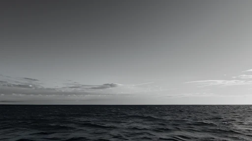 an endless expanse, shallow water, black sky