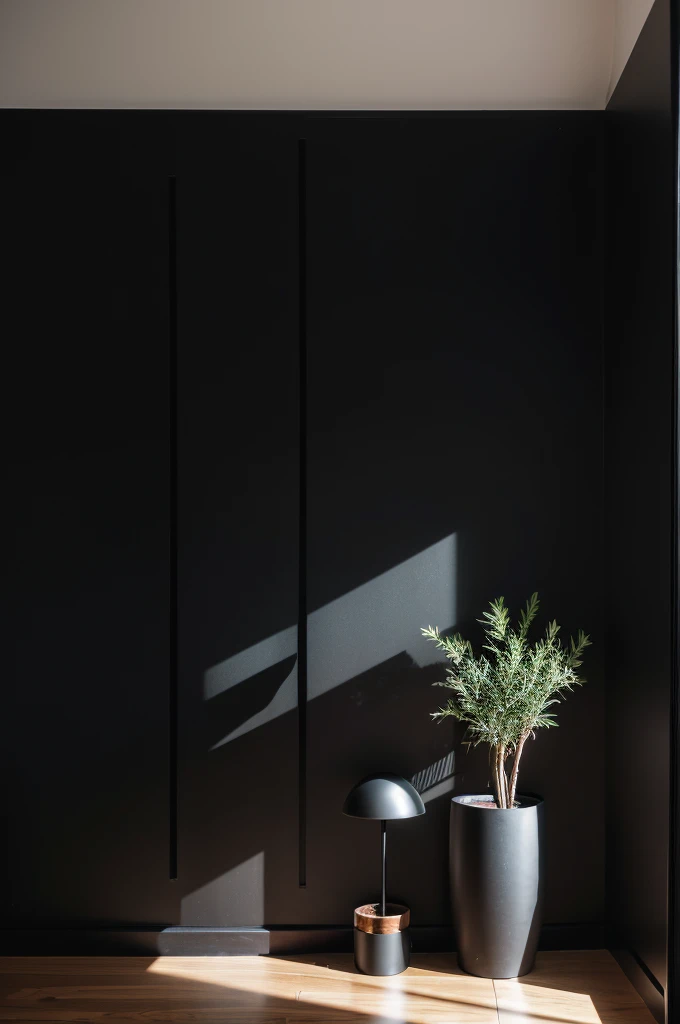 There is a black wall，There is a pot of plants on it, Lacquered glass, Smooth paneling, Vantablack Wall, apartment with Black Wall, Black Wall, empty room with Black Wall, black studio background color, Dark gray wall, Black color scheme, Black vertical slats wood, All black matte product, Dark color scheme, panel of black，Best quality，8K，The picture quality is perfect，Clarity