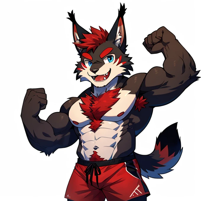 ((Furry lynx cat)), ((chibi)), body fully covered in black fur, ((fully covered in black fur)), ((black fur)), sharp fangs, sharp teeth, summer shorts outfit, cute, blue eyes, red chest hair, red eyebrows, red armpit hair, black nose, black tail, black tail with red tip, red whiskers, happy, smile, correct Anatomy, correct hand, ((white background)), (Acting happy), (hands up), enjoy, ((front view)), full body, sexy, (flexing), (muscle), black tail, black tail red tail tip, red eyebrows, red chest hair, red armpit hair