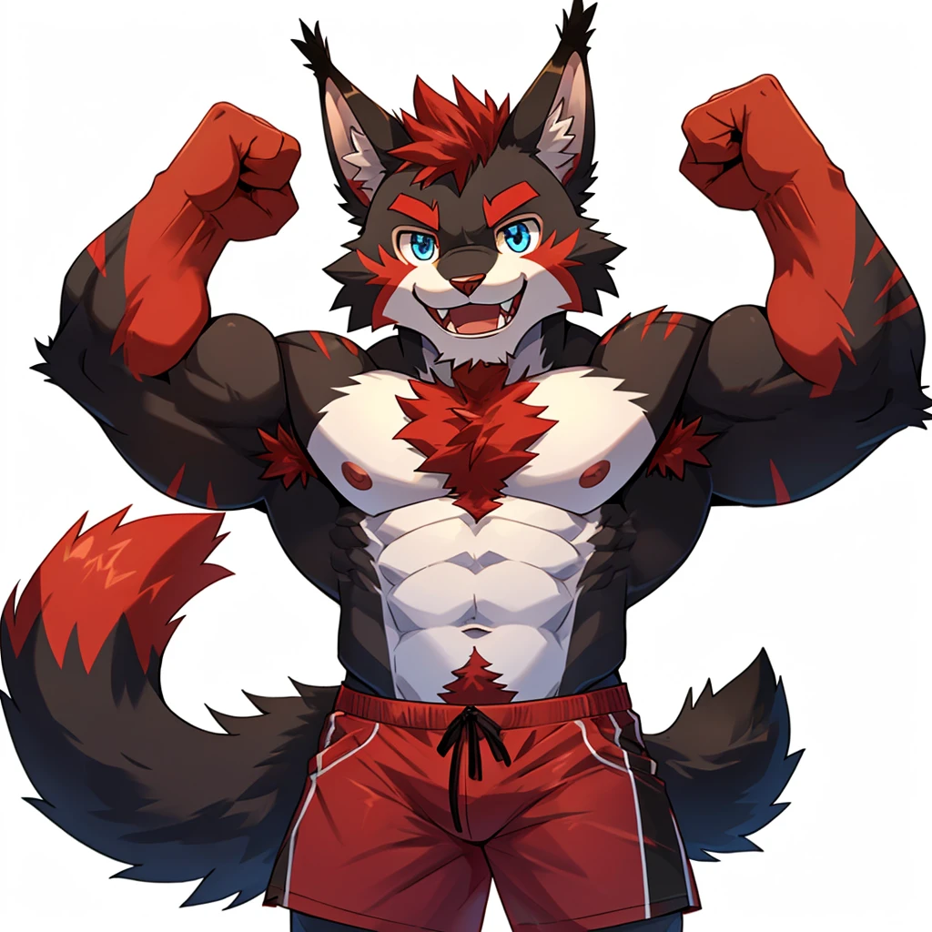 ((Furry lynx cat)), ((chibi)), body fully covered in black fur, ((fully covered in black fur)), ((black fur)), sharp fangs, sharp teeth, summer shorts outfit, cute, blue eyes, red chest hair, red eyebrows, red armpit hair, black nose, black tail, black tail with red tip, red whiskers, happy, smile, correct Anatomy, correct hand, ((white background)), (Acting happy), (hands up), enjoy, ((front view)), full body, sexy, (flexing), (muscle), black tail, black tail red tail tip, red eyebrows, red chest hair, red armpit hair