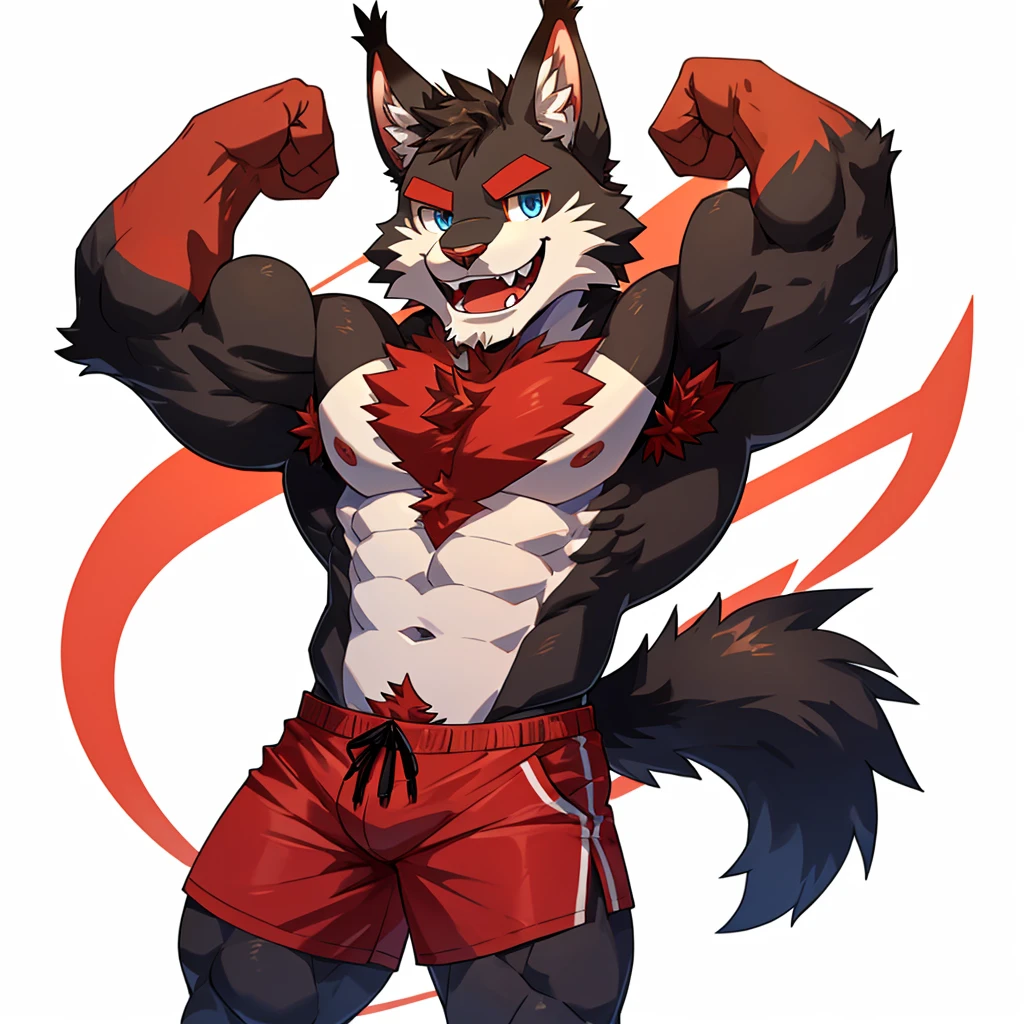 ((Furry lynx cat)), ((chibi)), body fully covered in black fur, ((fully covered in black fur)), ((black fur)), sharp fangs, sharp teeth, summer shorts outfit, cute, blue eyes, red chest hair, red eyebrows, red armpit hair, black nose, black tail, black tail with red tip, red whiskers, happy, smile, correct Anatomy, correct hand, ((white background)), (Acting happy), (hands up), enjoy, ((front view)), full body, sexy, (flexing), (muscle), black tail, black tail red tail tip, red eyebrows, red chest hair, red armpit hair