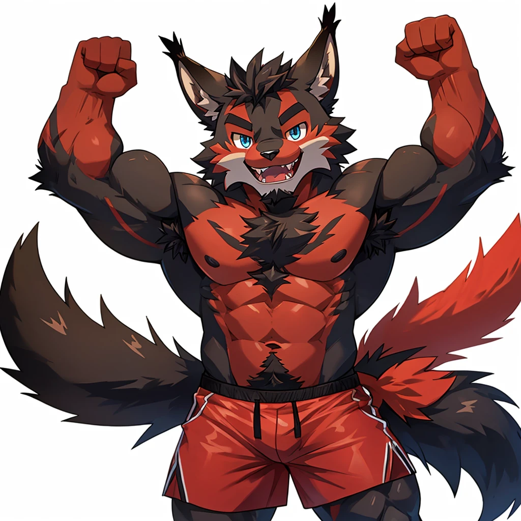 ((Furry lynx cat)), ((chibi)), body fully covered in black fur, ((fully covered in black fur)), ((black fur)), sharp fangs, sharp teeth, summer shorts outfit, cute, blue eyes, red chest hair, red eyebrows, red armpit hair, black nose, black tail, black tail with red tip, red whiskers, happy, smile, correct Anatomy, correct hand, ((white background)), (Acting happy), (hands up), enjoy, ((front view)), full body, sexy, (flexing), (muscle), black tail, black tail red tail tip, red eyebrows, red chest hair, red armpit hair