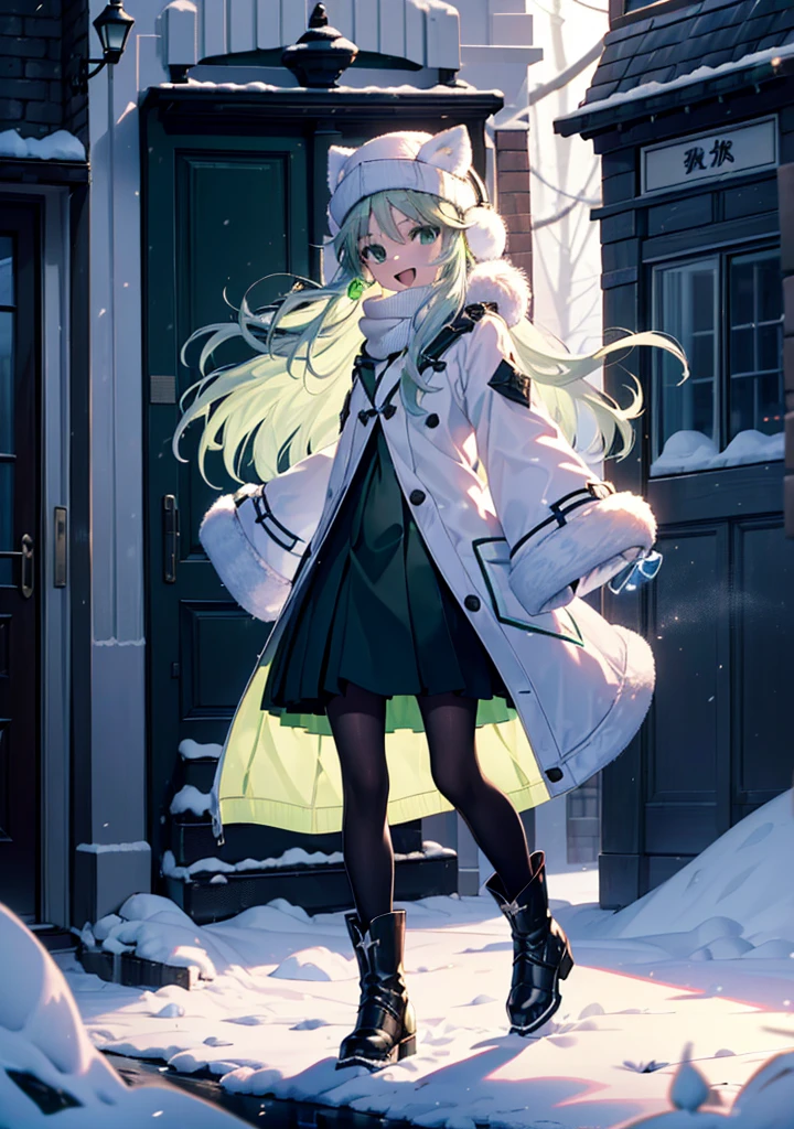 index, index, (Green Eyes:1.5), Silver Hair, Long Hair, (Flat Chest:1.2),happy smile, smile, Open your mouth,Knitted hat,Yellow long coat,White Tokkuri Sweater,Earmuffs,Red baggy gloves,White scarf,Black long skirt,Black pantyhose,short boots,Walking,Snow is piled up,It&#39;s snowing,Snow Scene,Shirogane World,night,moonlight,Let the world enter your illustrations,
break looking at viewer, whole body,
break outdoors, Snow Country,Residential Street,
break (masterpiece:1.2), Highest quality, High resolution, unity 8k wallpaper, (figure:0.8), (Beautiful attention to detail:1.6), Highly detailed face, Perfect lighting, Highly detailed CG, (Perfect hands, Perfect Anatomy),