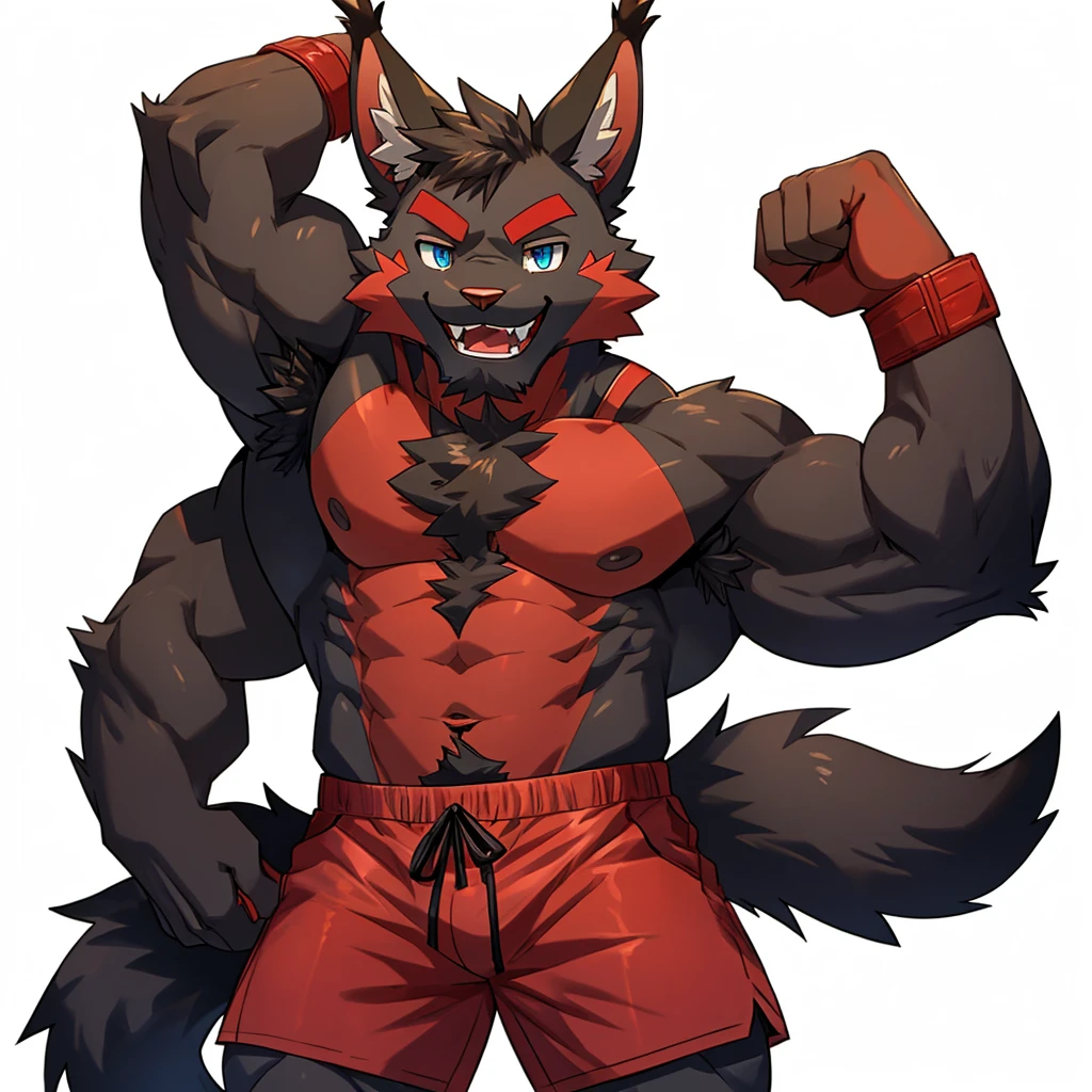 (Furry lynx cat), (chibi)), (body fully covered in black fur), (fully covered in black fur), (black fur), sharp fangs, sharp teeth, summer shorts outfit, cute, blue eyes, red chest hair, red eyebrows, red armpit hair, black nose, black tail, black tail with red tip, red whiskers, happy, smile, correct Anatomy, correct hand, ((white background)), (Acting happy), (hands up), enjoy, ((front view)), full body, sexy, (flexing), (muscle), black tail, black tail red tail tip, red eyebrows, red chest hair, red armpit hair