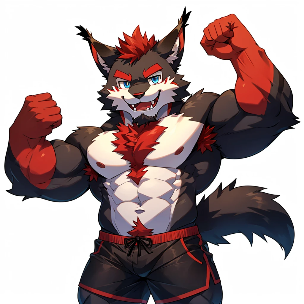 (Furry lynx cat), (chibi)), (body fully covered in black fur), (fully covered in black fur), (black fur), sharp fangs, sharp teeth, summer shorts outfit, cute, blue eyes, red chest hair, red eyebrows, red armpit hair, black nose, black tail, black tail with red tip, red whiskers, happy, smile, correct Anatomy, correct hand, ((white background)), (Acting happy), (hands up), enjoy, ((front view)), full body, sexy, (flexing), (muscle), black tail, black tail red tail tip, red eyebrows, red chest hair, red armpit hair
