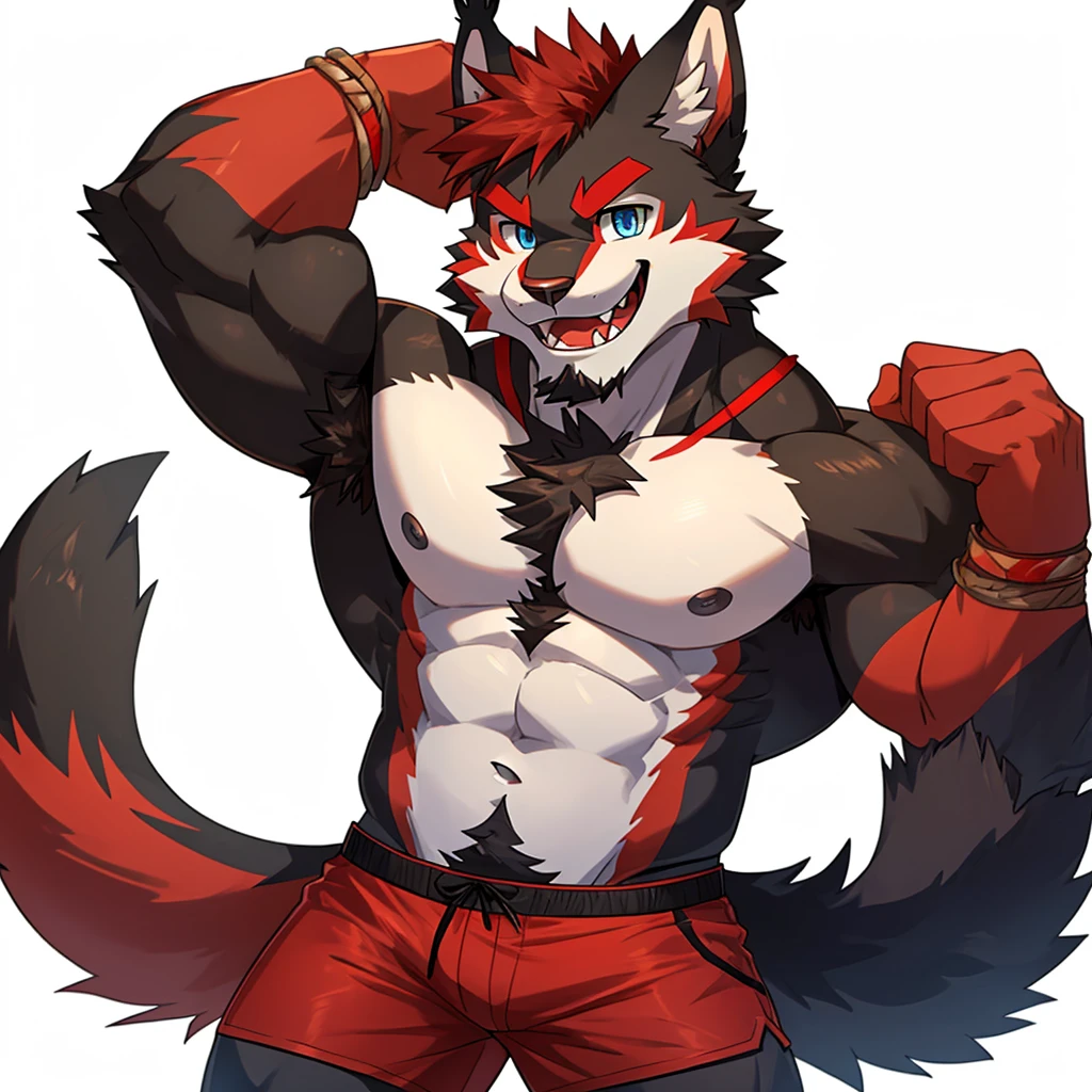 (Furry lynx cat), (chibi)), (body fully covered in black fur), (fully covered in black fur), (black fur), sharp fangs, sharp teeth, summer shorts outfit, cute, blue eyes, red chest hair, red eyebrows, red armpit hair, black nose, black tail, black tail with red tip, red whiskers, happy, smile, correct Anatomy, correct hand, ((white background)), (Acting happy), (hands up), enjoy, ((front view)), full body, sexy, (flexing), (muscle), black tail, black tail red tail tip, red eyebrows, red chest hair, red armpit hair