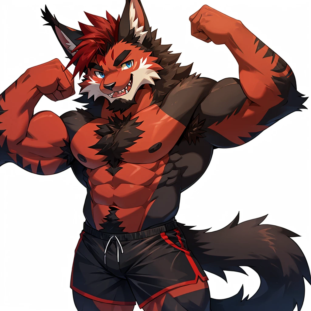 (Furry lynx cat), (chibi)), (body fully covered in black fur), (fully covered in black fur), (black fur), sharp fangs, sharp teeth, summer shorts outfit, cute, blue eyes, red chest hair, red eyebrows, red armpit hair, long black hair, black mane, black nose, black tail, black tail with red tip, red whiskers, happy, smile, correct Anatomy, correct hand, ((white background)), (Acting happy), (hands up), enjoy, ((front view)), full body, sexy, (flexing), (muscle), black tail, black tail red tail tip, red eyebrows, red chest hair, red armpit hair