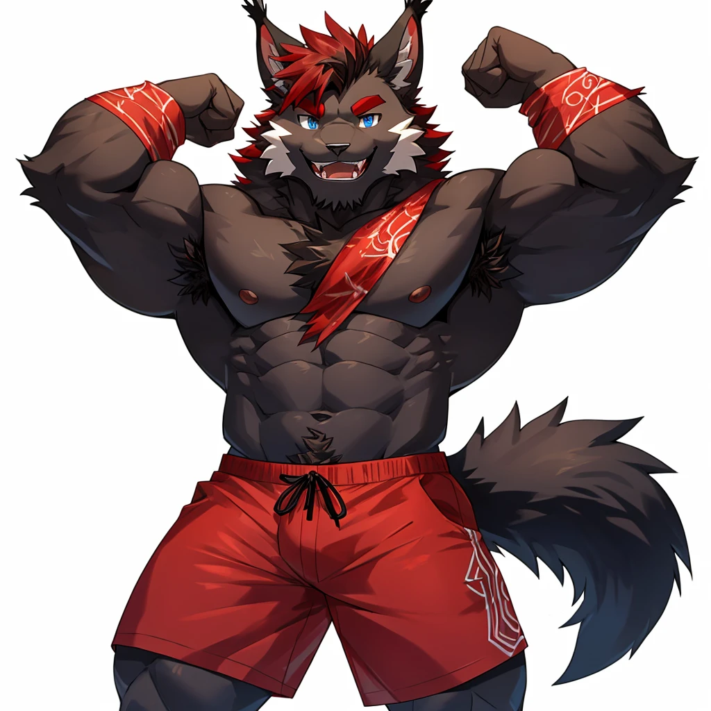 (Furry lynx cat), (chibi)), (body fully covered in black fur), (fully covered in black fur), (black fur), sharp fangs, sharp teeth, summer shorts outfit, cute, blue eyes, red chest hair, red eyebrows, red armpit hair, long black hair, black mane, black nose, black tail, black tail with red tip, red whiskers, happy, smile, correct Anatomy, correct hand, ((white background)), (Acting happy), (hands up), enjoy, ((front view)), full body, sexy, (flexing), (muscle), black tail, black tail red tail tip, red eyebrows, red chest hair, red armpit hair