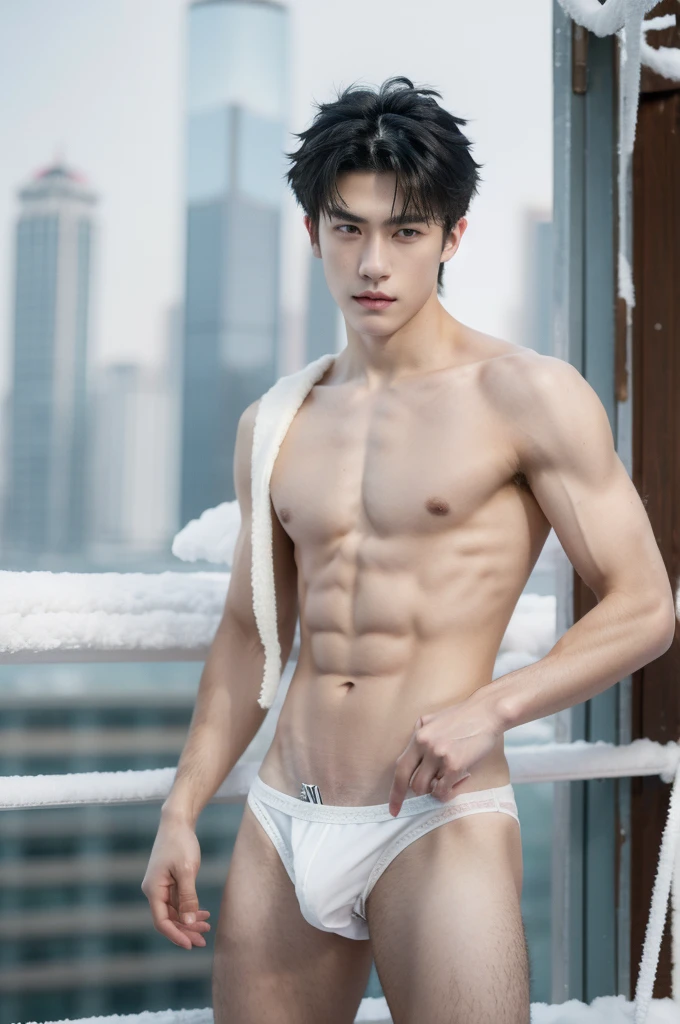 Eine hyperrealistische, 20 year old boy with white skin, dark eyes, dark eyebrows, show abs, topless, , shirtless, Athletic Body Spiky Hair,Serious male thoughtful observer wearing white thong, Mokkori, winter, outdoor, city