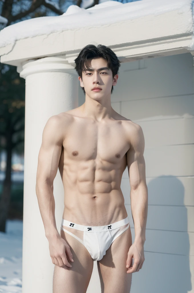Eine hyperrealistische, 20 year old boy with white skin, dark eyes, dark eyebrows, show abs, topless, , shirtless, Athletic Body Spiky Hair,Serious male thoughtful observer wearing white thong, Mokkori, winter, outdoor, city