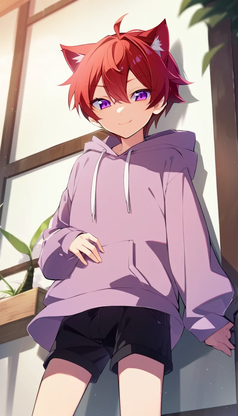 oe boy, cat ears, hoodie, cute, cool, lovely, naive, short pants, shota, purple eyes, smile peacefully, stare at me, red hair, cowboy shot, gently