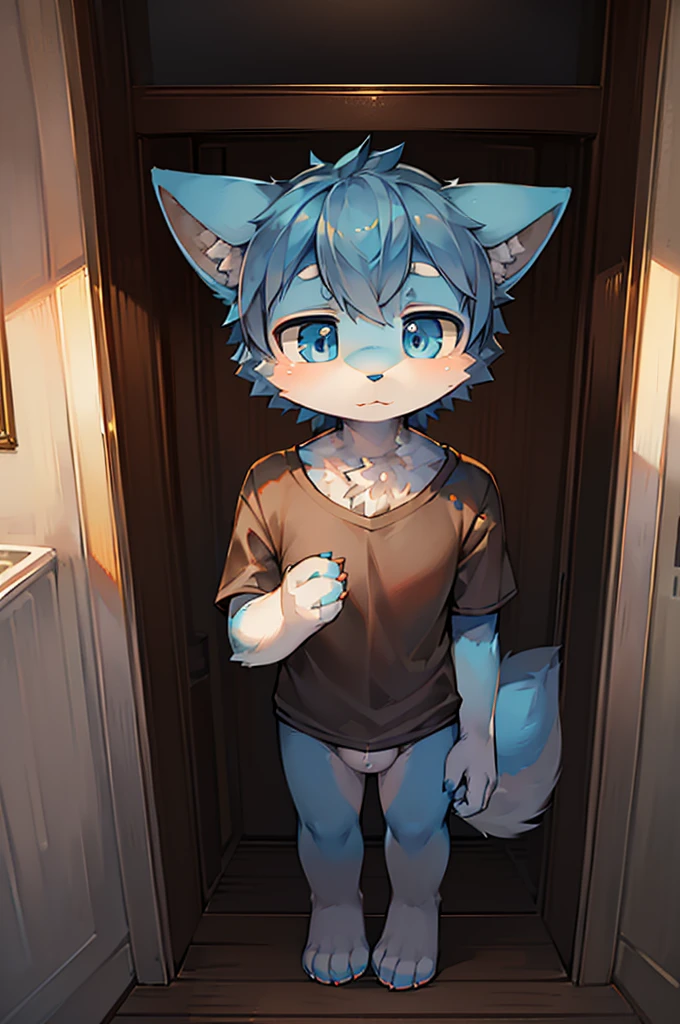 Normal scenario (Furry light blue fox boy), Standing,Facing the camera, ((Melancholy, Detailed face, Clear big eyes,blue eyes,Meticulous attention to detail)), Natural and soft lighting, 8K, SF Express, Autumn Light , peaceful , (Fluffy Paws), Front view,Wearing a shirt