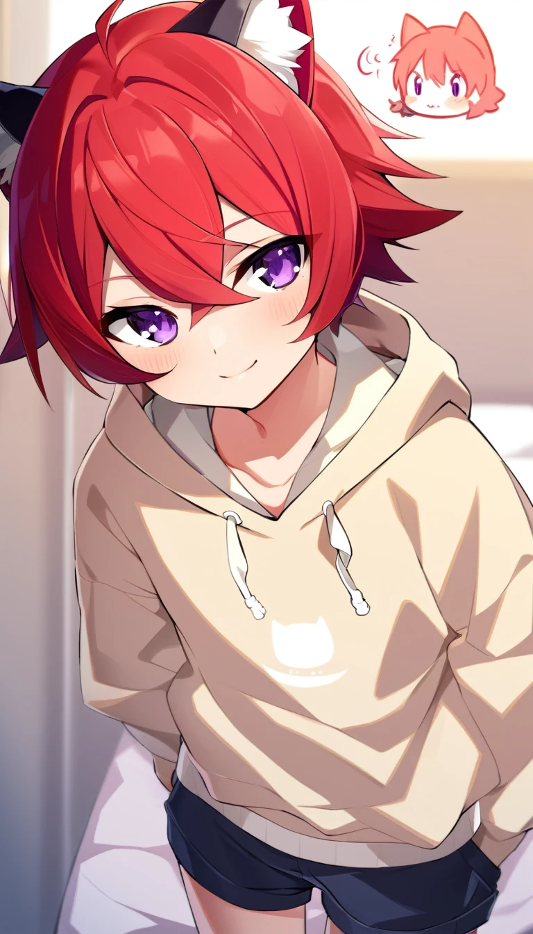 oe boy, cat ears, hoodie, cute, cool, lovely, naive, short pants, shota, purple eyes, smile, stare at me, red hair, cowboy shot, gently, blush
