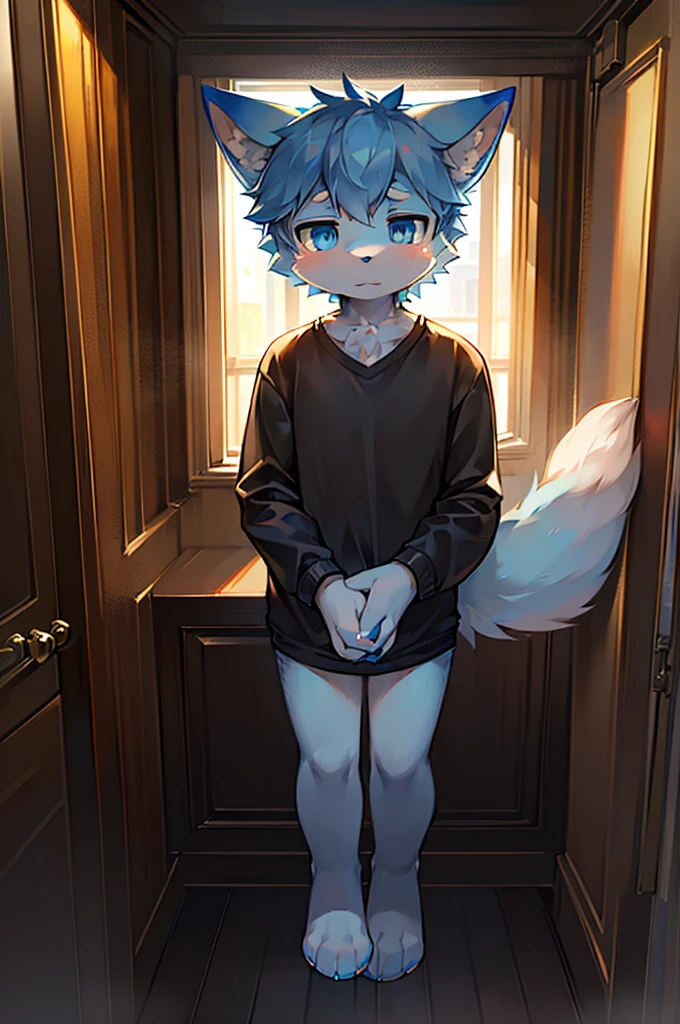 Normal scenario (Furry light blue fox boy), Standing,Facing the camera, ((Melancholy, Detailed face, Clear big eyes,blue eyes,Meticulous attention to detail)), Natural and soft lighting, 8K, SF Express, Autumn Light , peaceful , (Fluffy Paws), Front view,Wearing a shirt