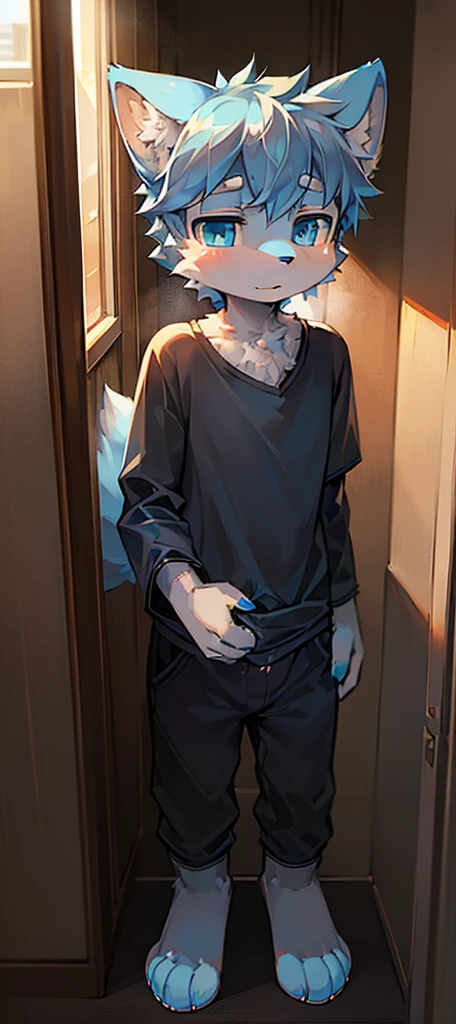 Normal scenario (Furry light blue fox boy), Standing,Facing the camera, ((Melancholy, Detailed face, Clear big eyes,blue eyes,Meticulous attention to detail)), Natural and soft lighting, 8K, SF Express, Autumn Light , peaceful , (Fluffy Paws), Front view,Wearing a shirt