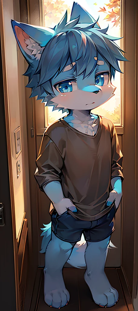 Normal scenario (Furry light blue fox boy), Standing,Facing the camera, ((Melancholy, Detailed face, Clear big eyes,blue eyes,Meticulous attention to detail)), Natural and soft lighting, 8K, SF Express, Autumn Light , peaceful , (Fluffy Paws), Front view,Wearing a shirt