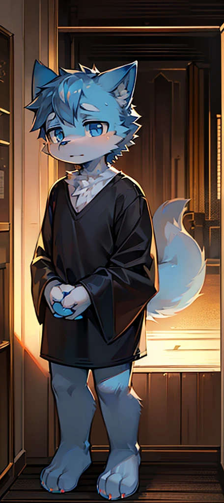 Normal scenario (Furry light blue fox boy), Standing,Facing the camera, ((Melancholy, Detailed face, Clear big eyes,blue eyes,Meticulous attention to detail)), Natural and soft lighting, 8K, SF Express, Autumn Light , peaceful , (Fluffy Paws), Front view,Wearing a shirt