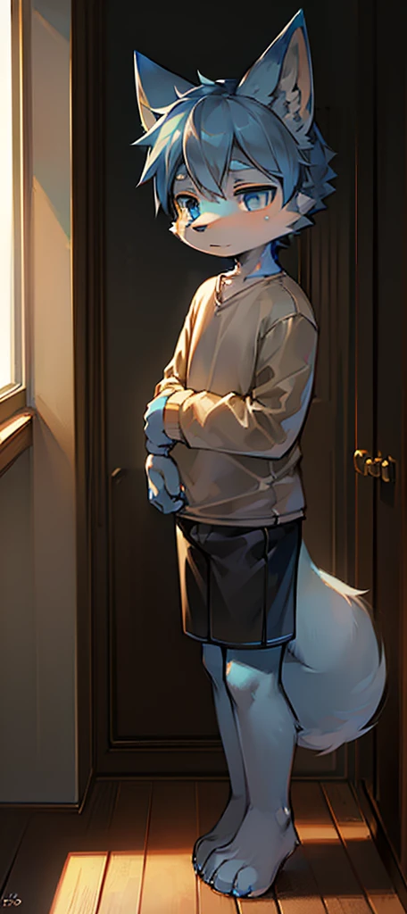 Normal scenario (Furry light blue fox boy), Standing，Facing the camera， ((Melancholy， Detailed face, Clear big eyes，blue eyes，Meticulous attention to detail)), Natural and soft lighting, 8K, SF Express, Autumn Light , peaceful , (Fluffy Paws), Front view，Wearing a shirt