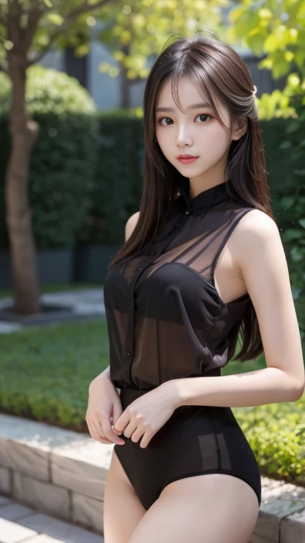 1 Girl,garden,Soft Light,Chinese Beauty,Tight Fit,Black sheer shirt,,Dark-haired,long hair