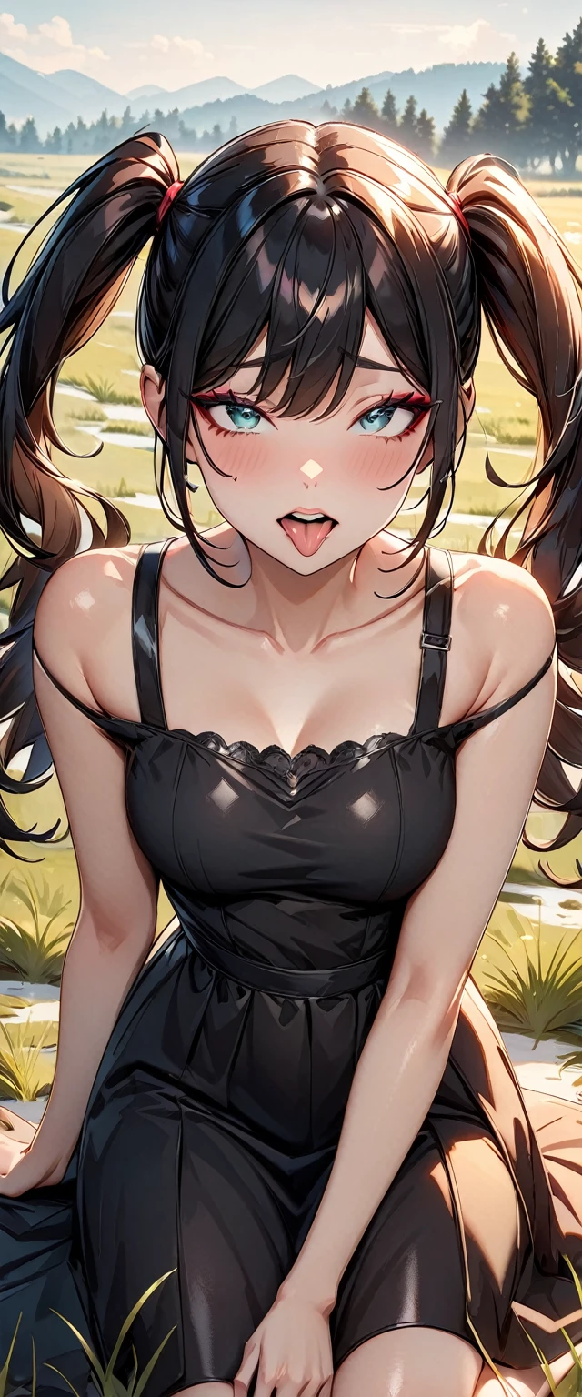 Photo of a woman with natural skin, grassland, Upper Body, Ahegao, Sweating, Sticking out tongue, High Twintails, Black hair with red mesh, Sharp eyes with red eyeshadow, Blue-green eyes, Shining eyes, A thin, upturned nose, Well-shaped lips, ((Black off-the-shoulder dress, Thin shoulder straps)), barefoot, Makeup, Exquisitely crafted with the utmost attention to detail, Vibrant, amazing, Smooth, Cinematic, 4K, Backlight, ((綺麗な星空が見える広いgrassland)), Shallow depth of field, ((Detailed eyes:1.3, Detailed lips:1.3, high quality, )), masterpiece, Super detailed images, High quality