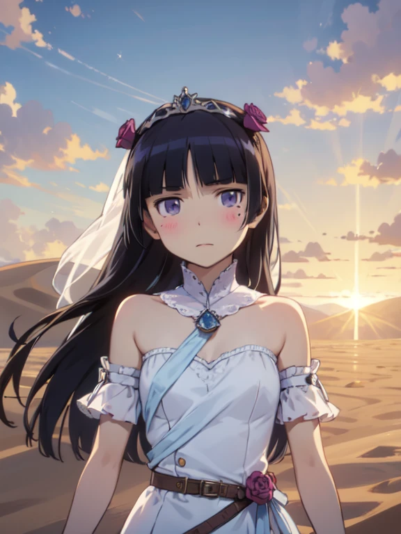 (masterpiece, Highest quality:1.1), (Desert Princess), (ruri gokou), blush, Black Hair, Hime cut, Mole, Mole under eye,1 Girl, alone, Gold embroidery, satin, Veil, gem, tiara, Arabian Style, Desert Landscape, carpet, Hair blowing in the wind, Shining, Sunset, oasis, silk, Sparkling Eyes, Sand Dunes