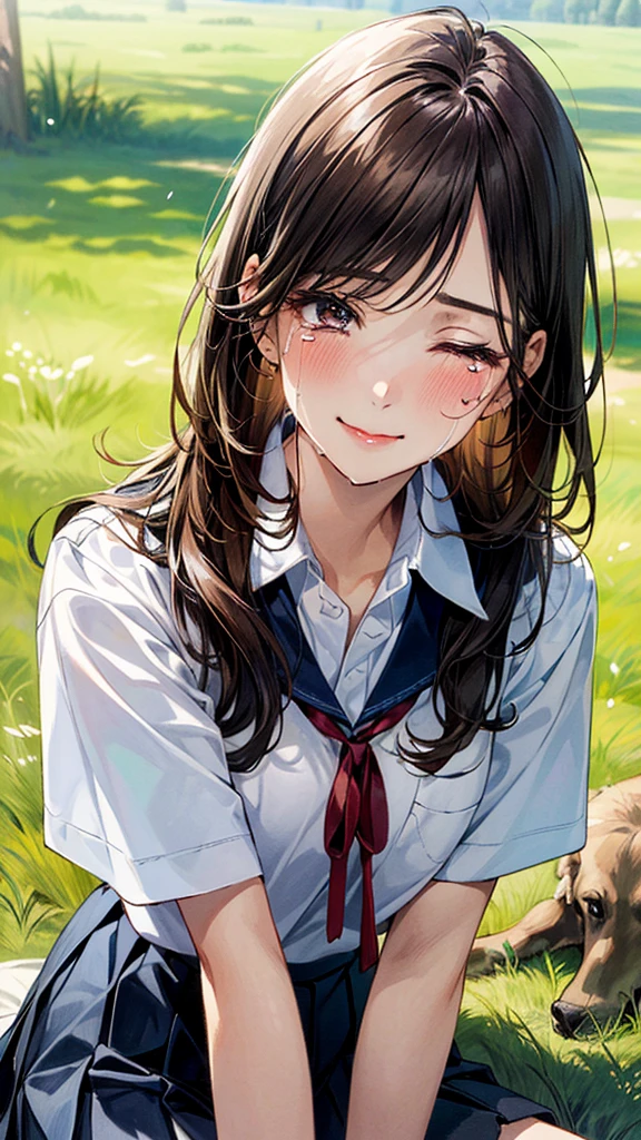 (masterpiece:1.2, top-quality, ultra high res, ultra detailed), (realistic, photorealistic:1.4), beautiful illustration, (natural side lighting, movie lighting), 
looking at viewer, (face focus, upper body), 1 girl, japanese, high school dirl, perfect face, (perfect anatomy), cute and symmetrical face, , shiny skin, slender
(long hair:1.5, straight hair:1.2, sark brown hair), parted bangs, grey eyes, long eye lasher, (medium breasts), 
beautiful hair, beautiful face, beautiful detailed eyes, beautiful clavicle, beautiful body, beautiful chest, beautiful thigh, beautiful legs, 
((detailed cloth texture, short sleeve white collared shirts, navy blue pleated mini skirt, red neck ribbon), , , 
(beautiful scenery), hands on chest, (lovely smile, upper eyes), 

A girl is on all fours in the grass in a meadow. She is carrying a large dog on her back, in the rear position, mating.
Her face is bright red, her eyes are closed, her mouth is open, and she is crying.
She is wearing a very short skirt.