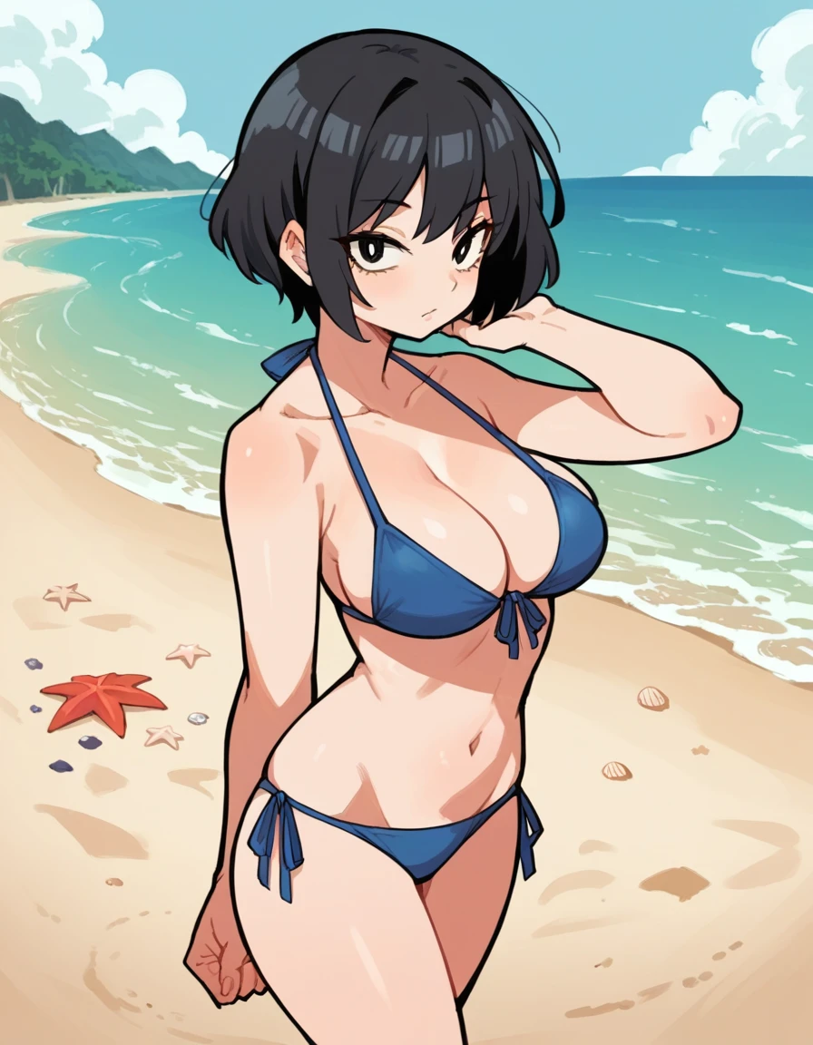 score_9, score_8_up, score_7_up, score_6_up, score_5_up, score_4_up, source_anime, Eiken3kyuboy, 1girl, black hair, short hair, large breasts, bikini, cleavage, looking at viewer, beach, standing 