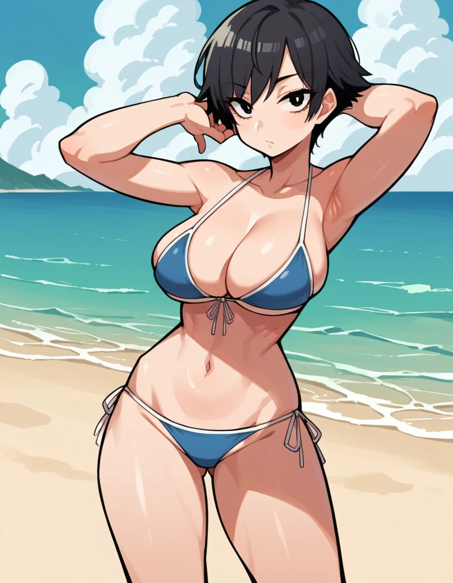 score_8_up, score_7_up, score_6_up, source_anime, Eiken3kyuboy, 1girl, black hair, short hair, large breasts, bikini, cleavage, looking at viewer, beach, standing 