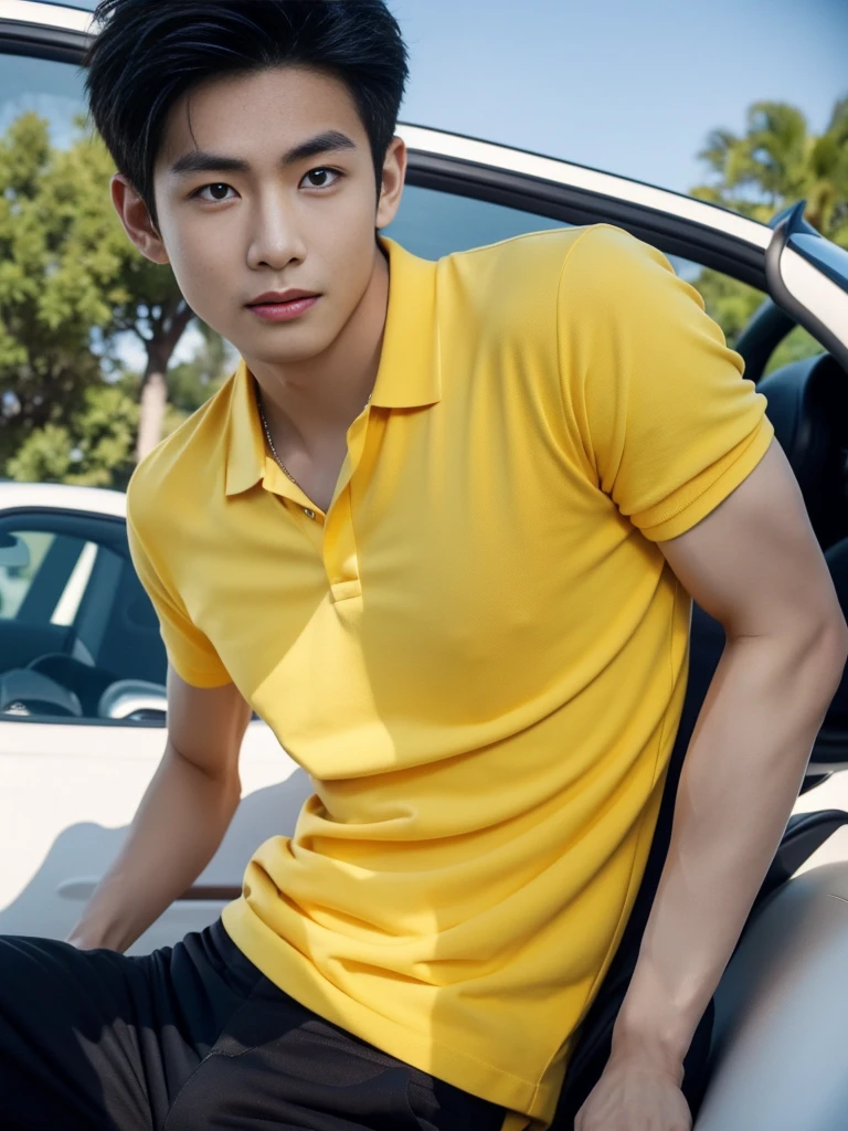 A handsome, muscular young Asian man looks at the camera. In a simple polo shirt black and yellow , car sunlight, 