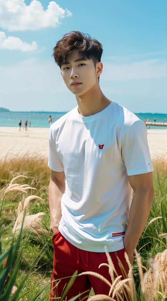 A handsome, muscular young Asian man looks at the camera. In a simple t-shirt white and red , Fieldside, grass, beach, sunlight